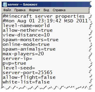 Файл сервера minecraft server.properties