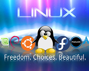 linux them